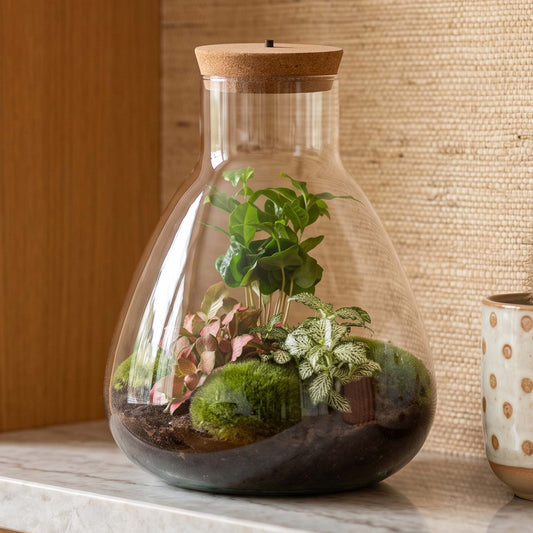 Comnox - Sam Coffea - Zelfbouw Terrarium Kit met LED - 30 cm