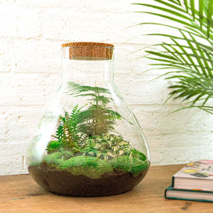 Sam XL - Terrarium with light - Bottle garden DIY kit - Ø 30 cm ↑ 32 cm