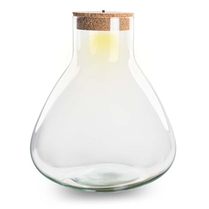 Terrarium bottle 'Sam XL' - Incl. LED cork - Closed terrarium Ø 30 cm ↑ 32 cm