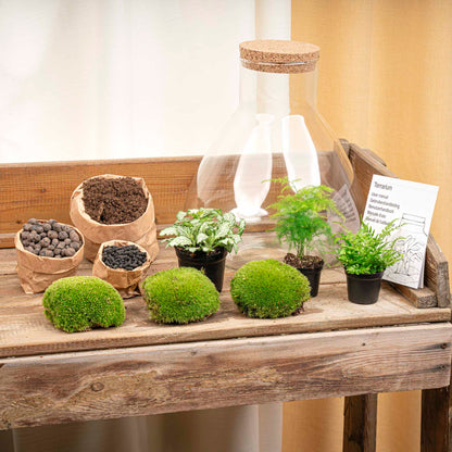 Sam XL - Terrarium with light - Bottle garden DIY kit - Ø 30 cm ↑ 32 cm