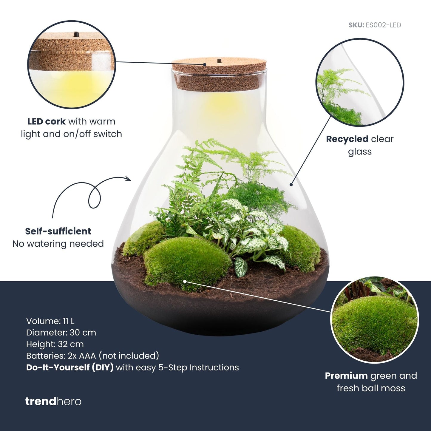 Sam XL - Terrarium with light - Bottle garden DIY kit - Ø 30 cm ↑ 32 cm