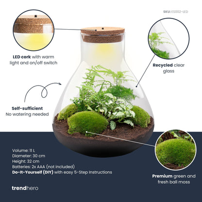 Sam XL - Terrarium with light - Bottle garden DIY kit - Ø 30 cm ↑ 32 cm