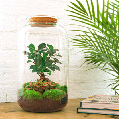 Sven XL Bonsai - Terrarium with light - Bottle garden DIY kit - Ø 23 cm ↑ 43 cm