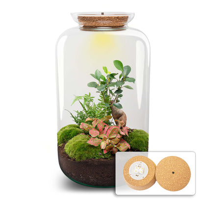 Sven XL Bonsai - Terrarium with light - Bottle garden DIY kit - Ø 23 cm ↑ 43 cm