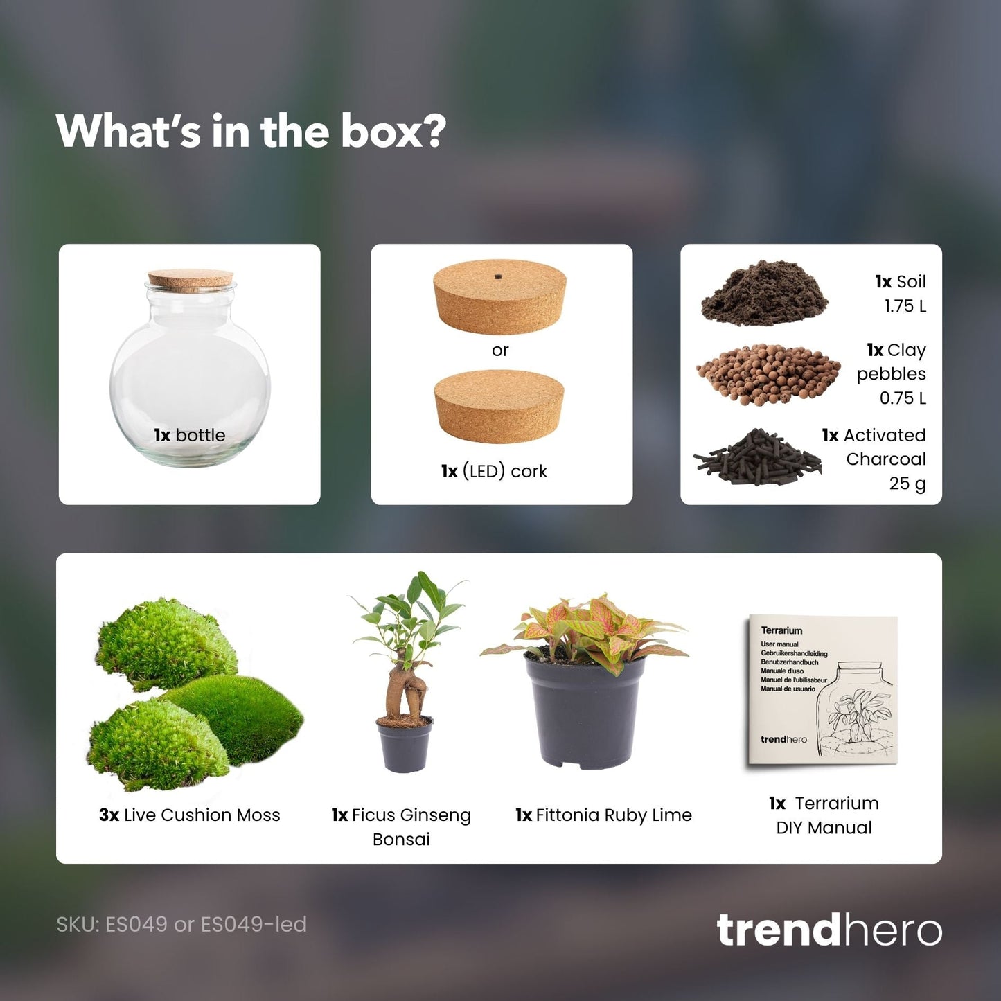 Teddy Bonsai - Terrarium with light - Bottle garden DIY kit - Ø 25 cm ↑ 26,5 cm