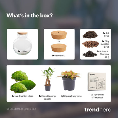 Teddy Bonsai - Terrarium with light - Bottle garden DIY kit - Ø 25 cm ↑ 26,5 cm