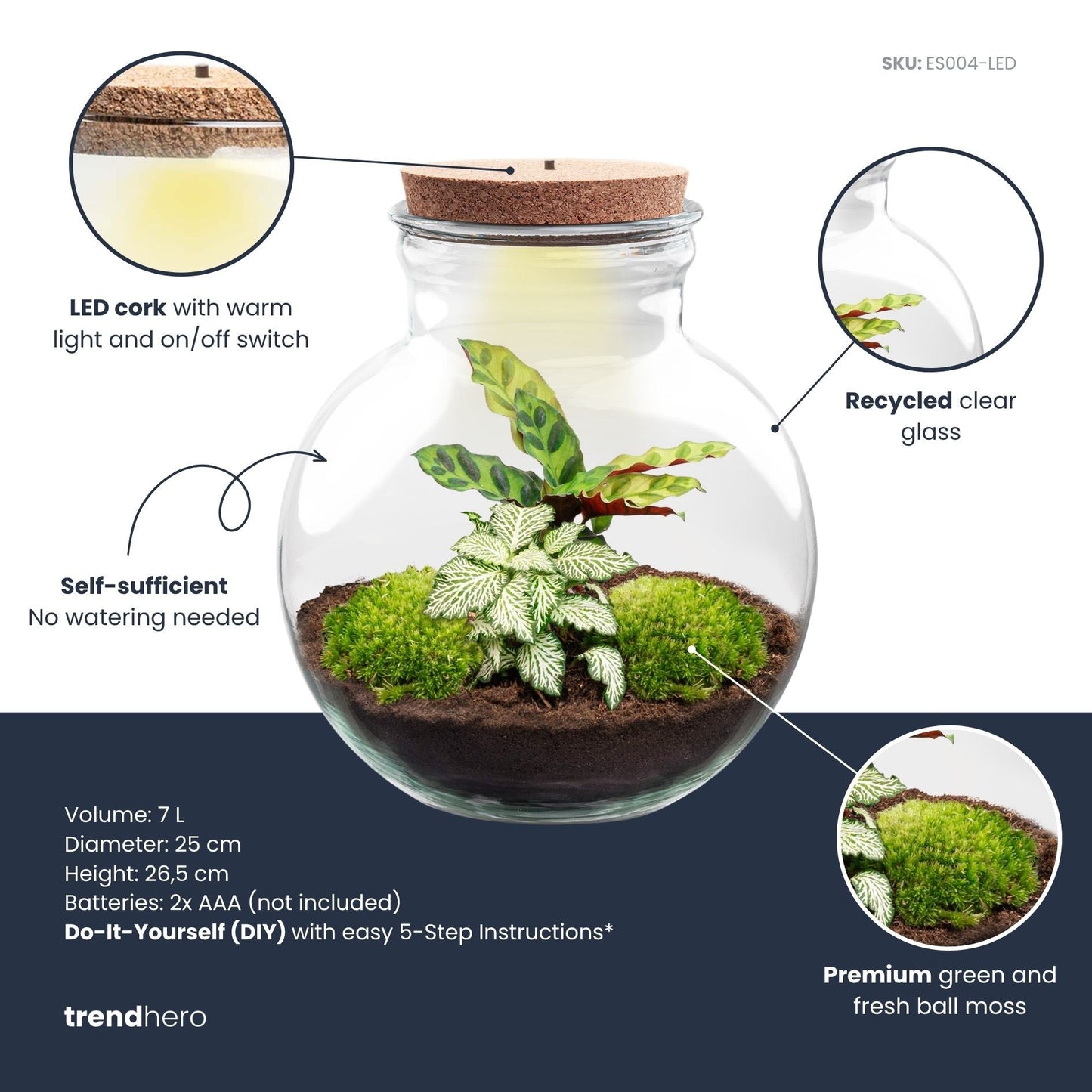 Teddy - Terrarium with light - Bottle garden DIY kit - Ø 25 cm ↑ 26,5 cm