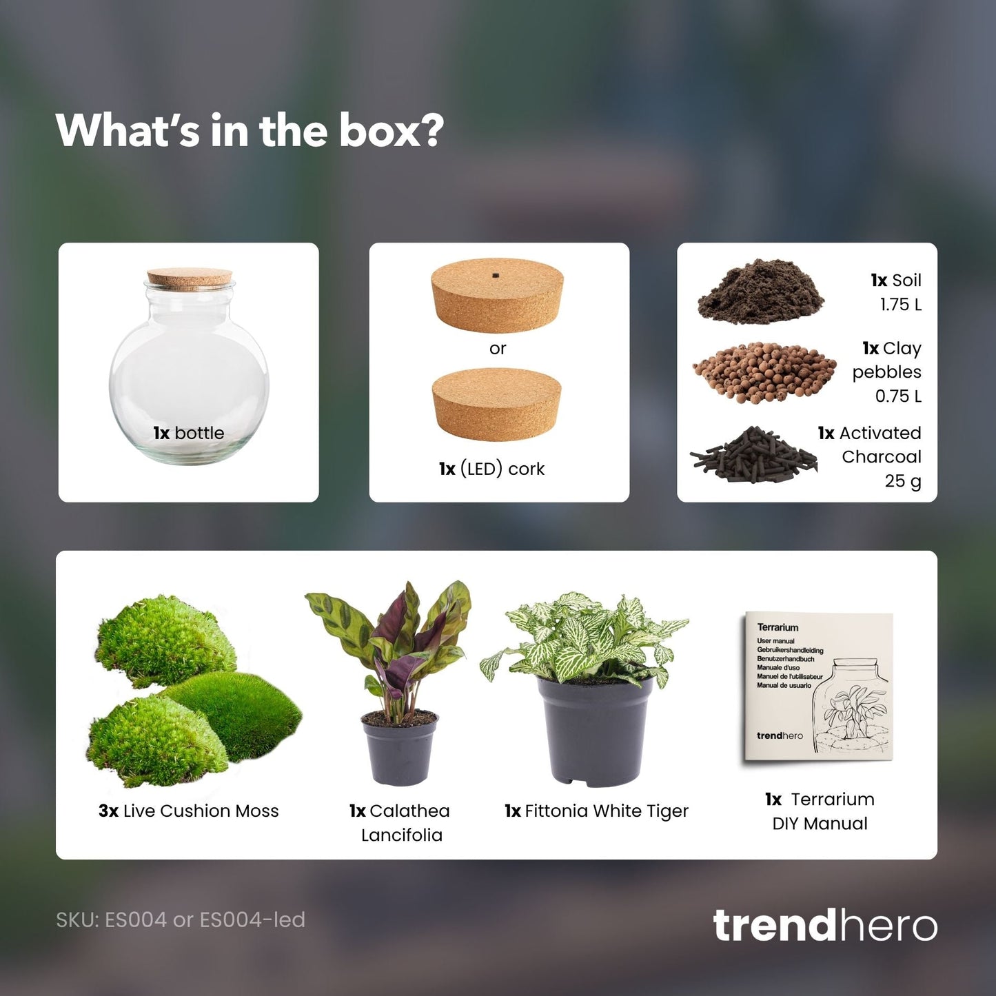 Teddy - Terrarium with light - Bottle garden DIY kit - Ø 25 cm ↑ 26,5 cm