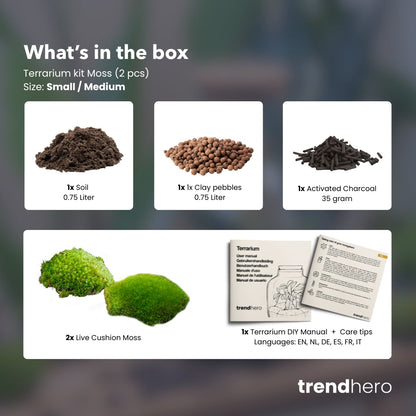 Terrarium Package  – Refill & Starter Package  – DIY Terrarium Kit – Size S/M