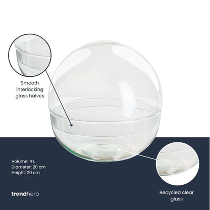 Terrarium bottle ‘Dome’ – Two-part round glass – Closed terrarium Ø 20 cm ↑ 20 cm – Terrarium bottle – Comnox Company