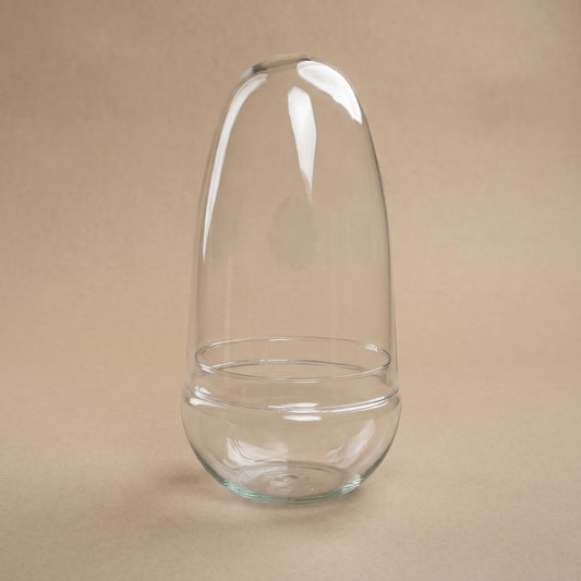 Een transparante glazen terrarium met een bolvormige bovenkant en een brede basis, geschikt voor decoratieve planten of als opbergcontainer. Het glas heeft een zachte groene rand en een minimalistisch, modern design.