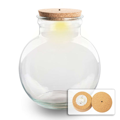 Terrarium bottle 'Teddy' - Incl. LED cork - Closed terrarium Ø 25 cm ↑ 26.5 cm – Terrarium bottle – Comnox Company