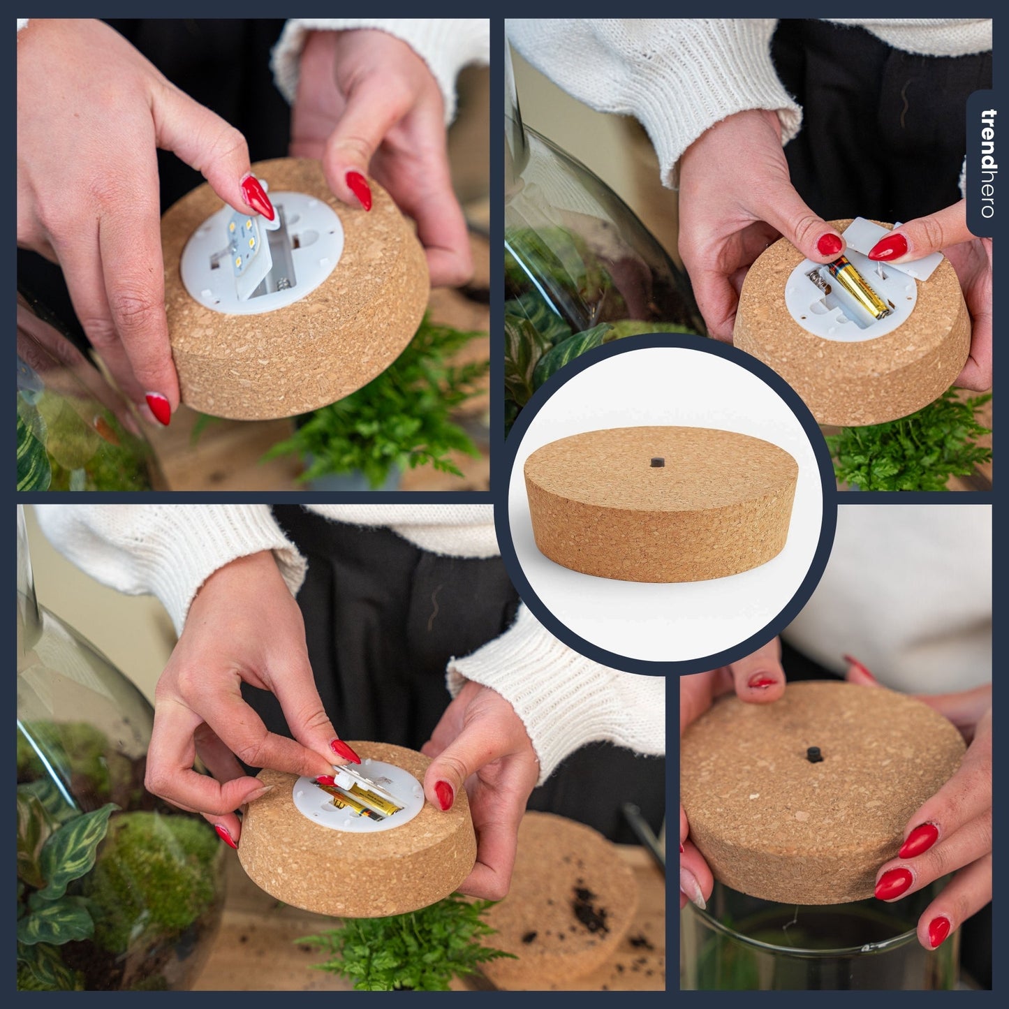 Cork with led - Terrarium cork with light -  3 sizes available