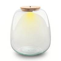 Terrarium bottle ‘Emma' - Incl. LED cork - Closed terrarium Ø 23 cm ↑ 25 cm