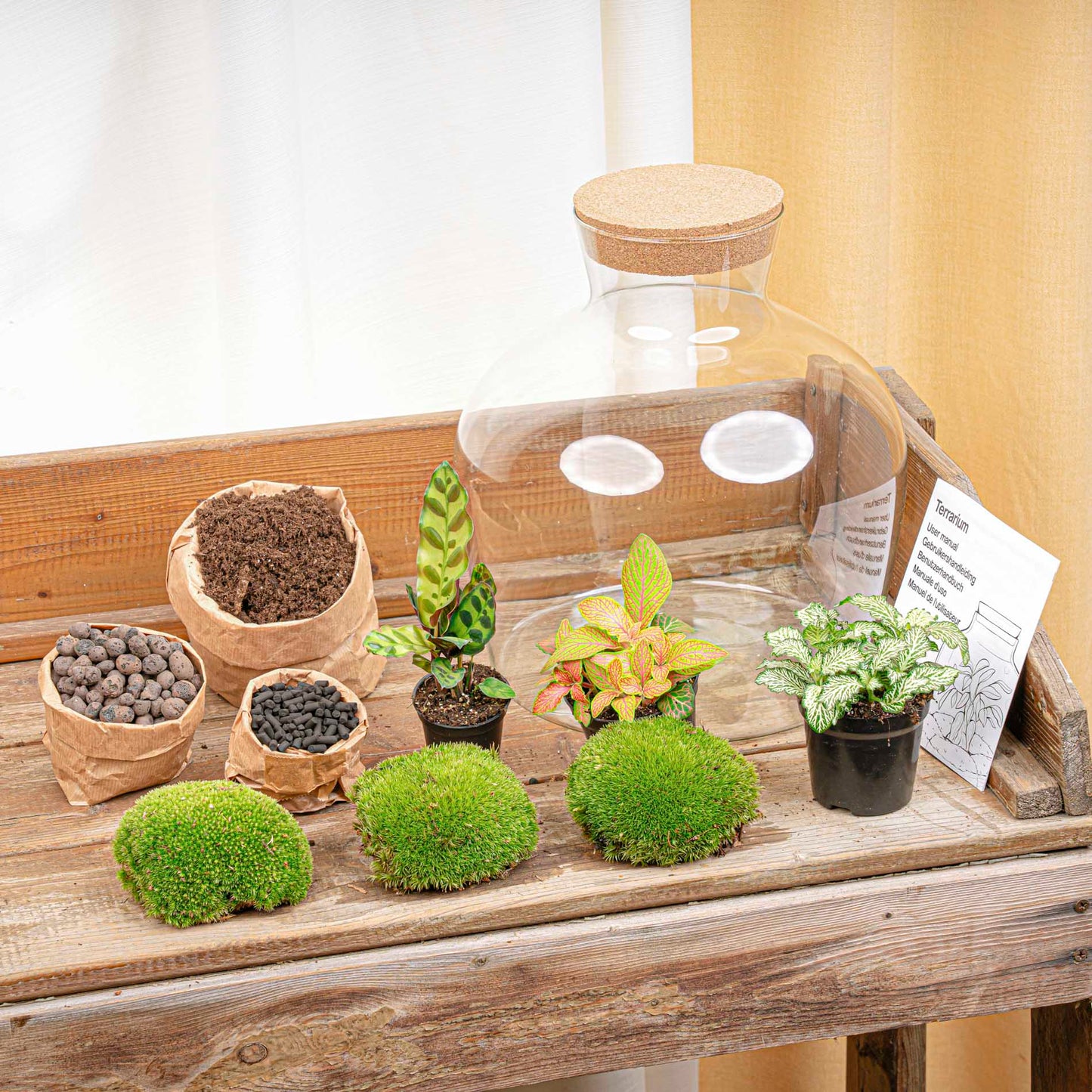 Fat Joe Red - Terrarium with light - Bottle garden DIY kit - Ø 29 cm ↑ 30 cm