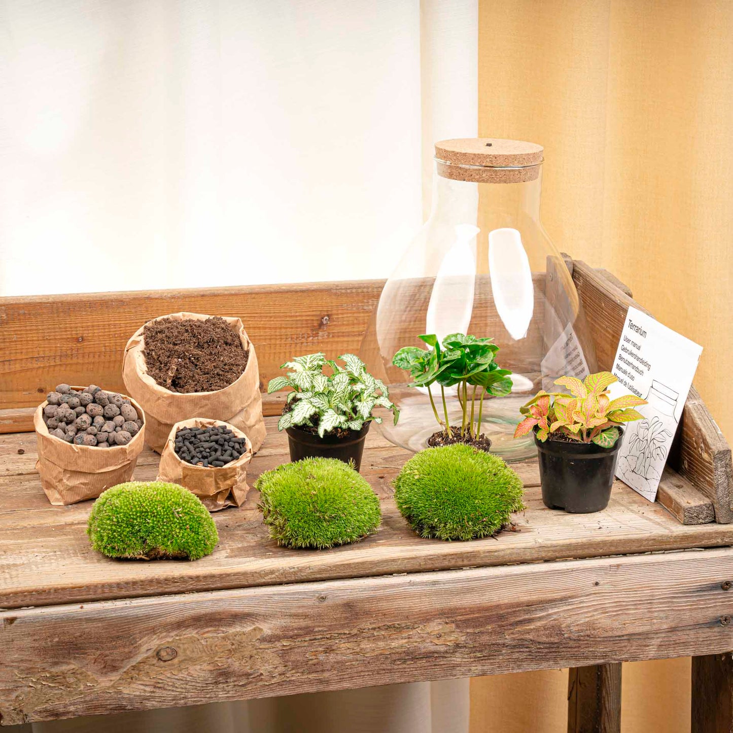 Comnox - Sam Coffea - Duurzaam DIY Terrarium Set met LED - 24 stuks