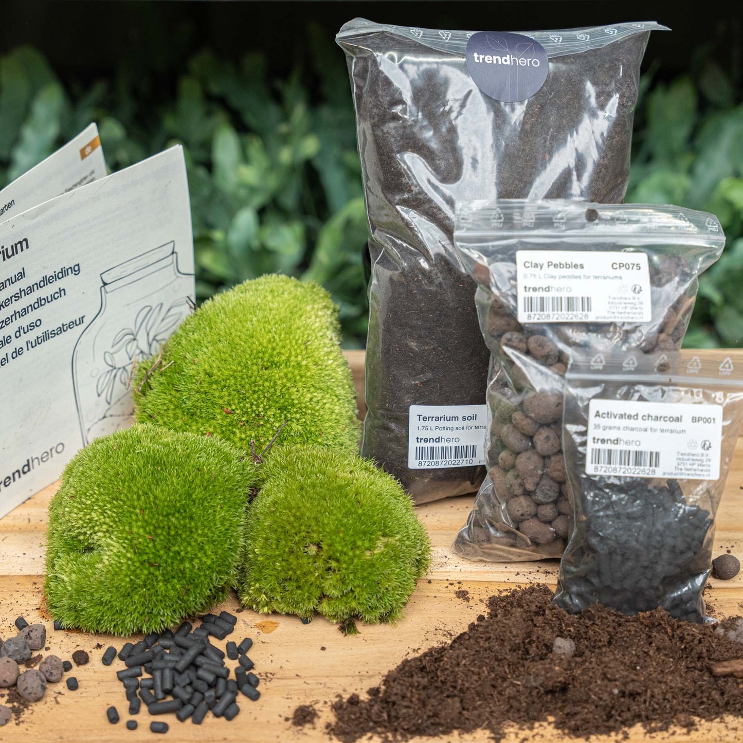 Comnox DIY Terrarium Kit Size L/XL - Complete Starter & Refill Set