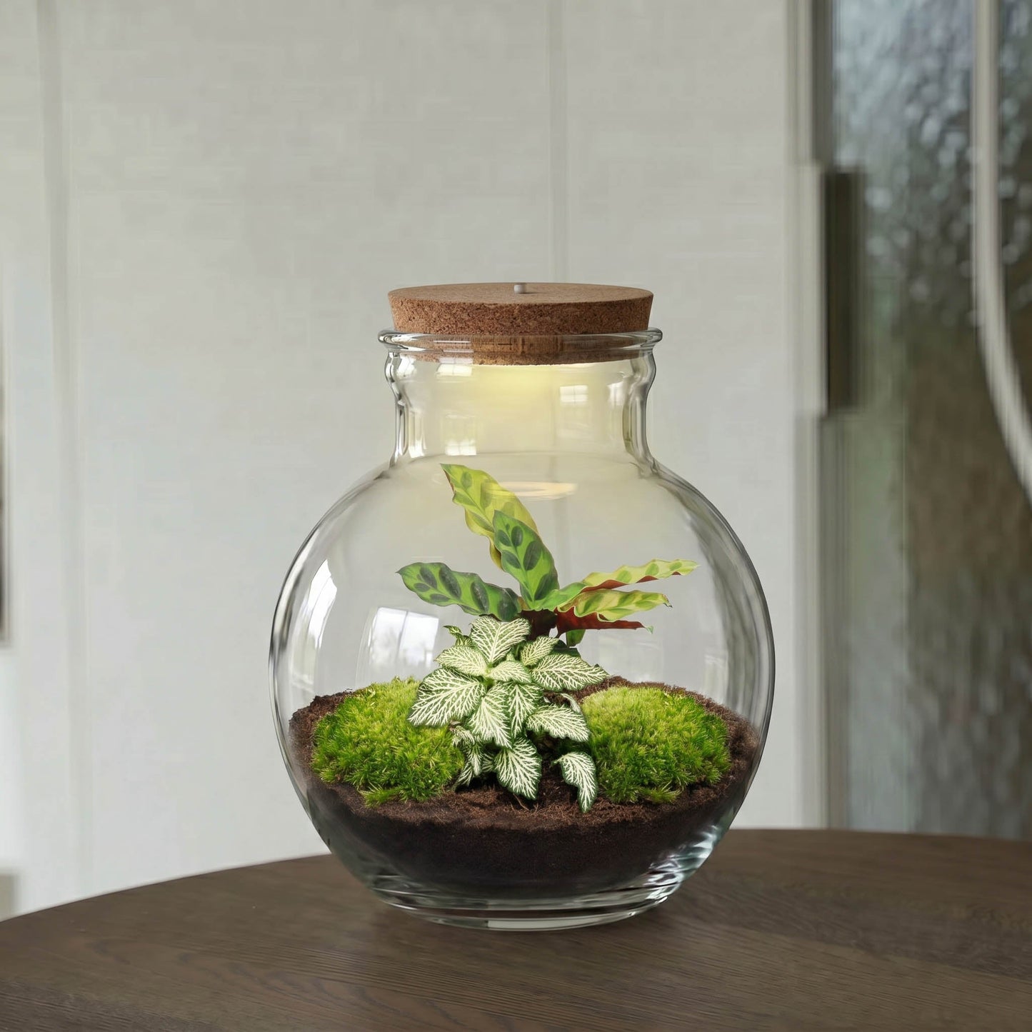 Teddy - Terrarium with light - Bottle garden DIY kit - Ø 25 cm ↑ 26,5 cm