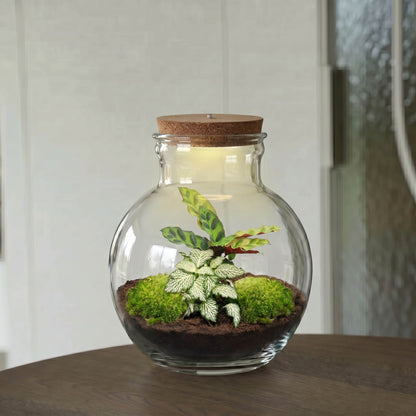 Teddy - Terrarium with light - Bottle garden DIY kit - Ø 25 cm ↑ 26,5 cm