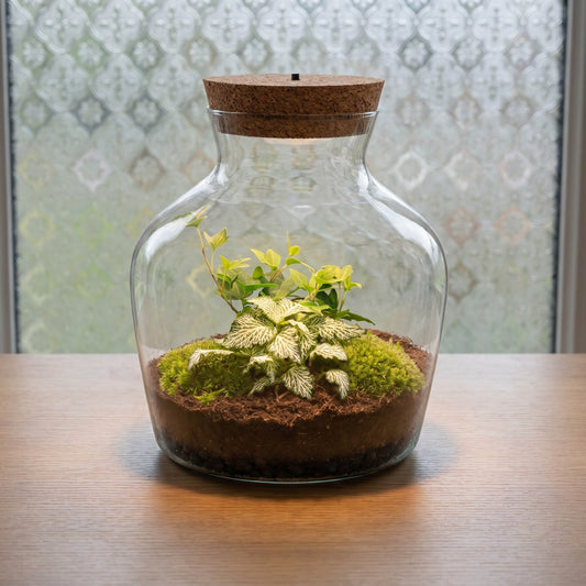 Een glazen terrarium met korkdop, gevuld met groene mos, zachte planten en bruine grond, perfect voor binnenruimte decoratie en decoratieve planten.