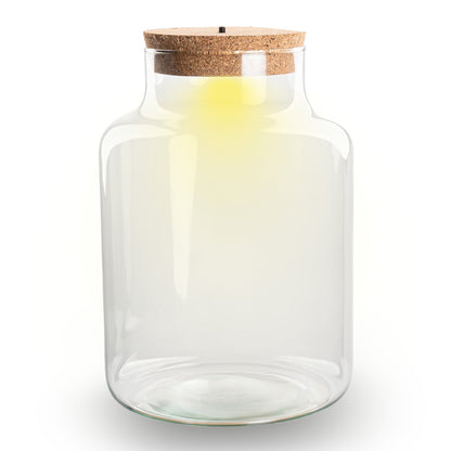Comnox - Little Milky Terrarium Bottle - Inclusief LED-kurk - Gerecycled Glas