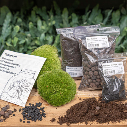 Comnox - DIY Terrarium Kit Size S/M - Complete Starter & Refill Set