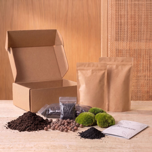 Comnox DIY Terrarium Kit Size L/XL - Complete Starter & Refill Set