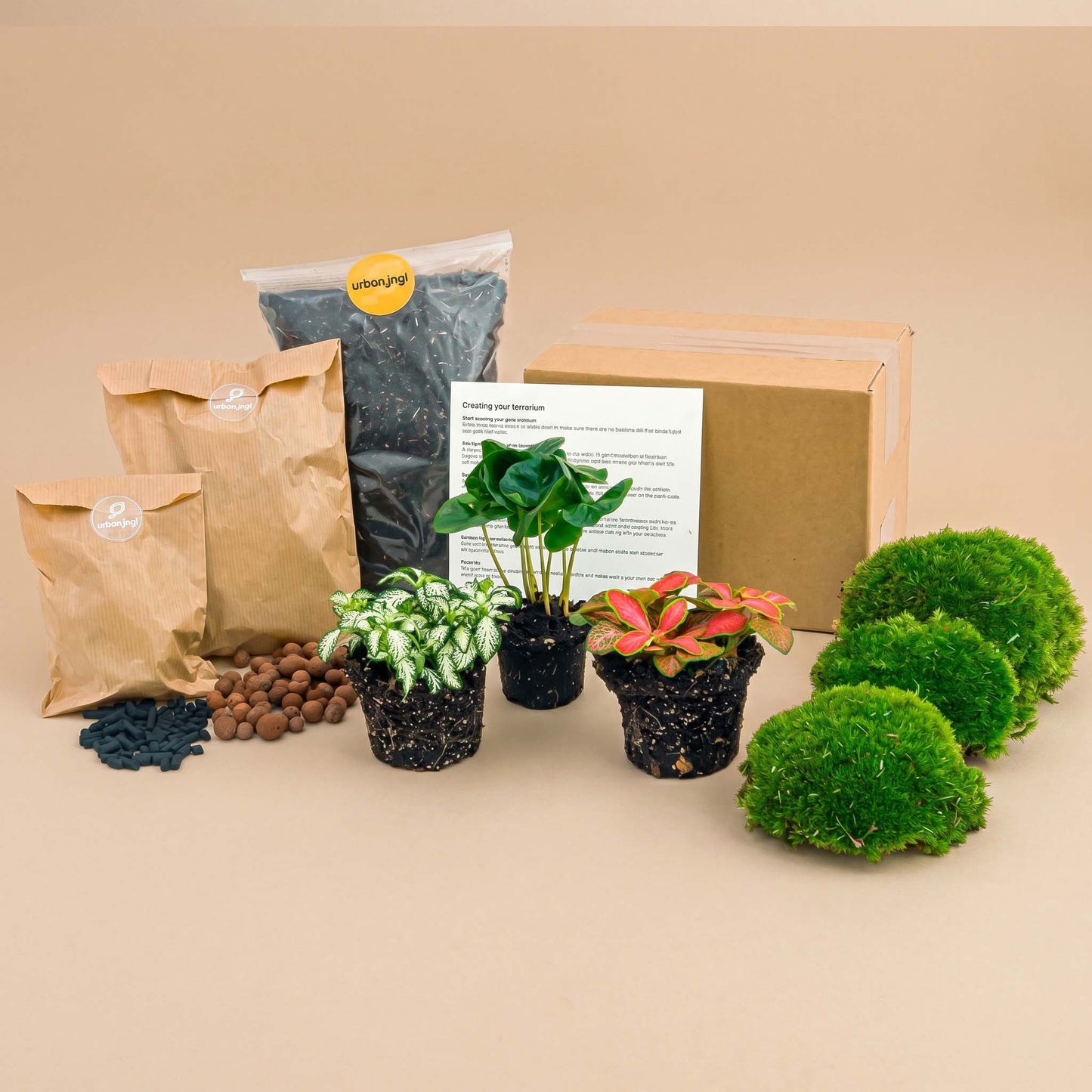 Coffea Arabica - Plant Terrarium Refill & Starter kit - 3 terrarium plants - DIY