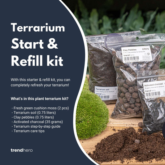 Comnox - DIY Terrarium Kit Size S/M - Complete Starter & Refill Set
