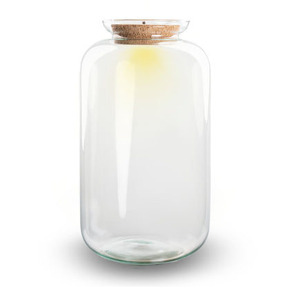Terrarium bottle 'Sven XL' - Incl. LED cork - Closed terrarium Ø 23 cm ↑ 43 cm