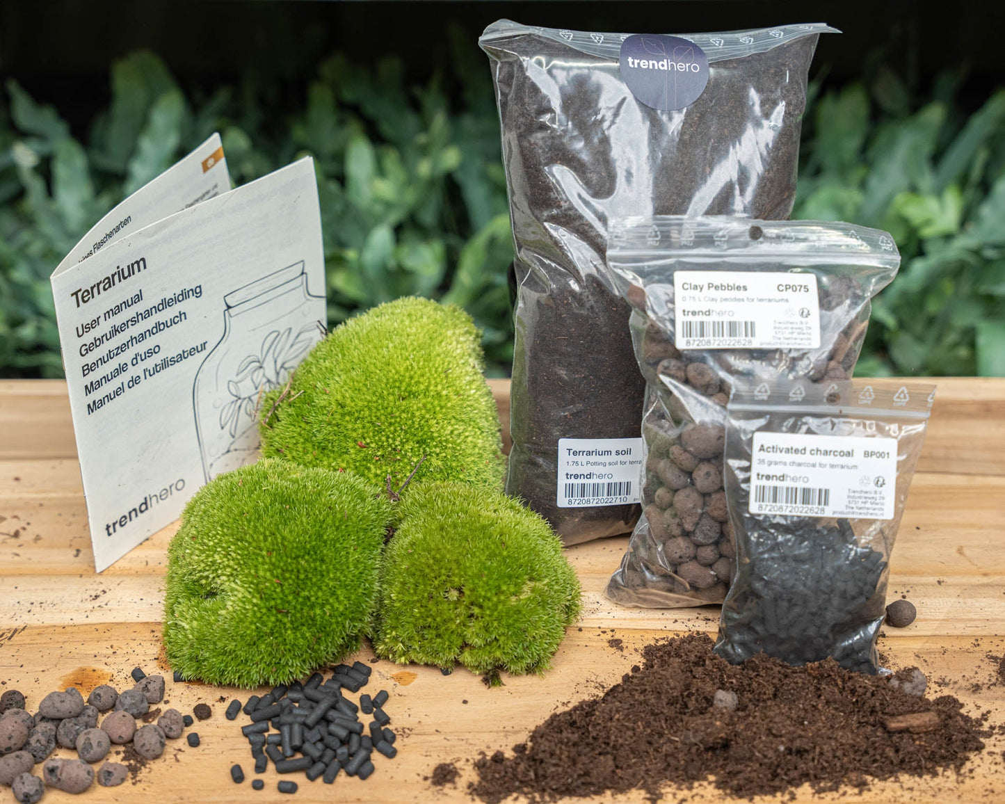 Comnox DIY Terrarium Kit Size L/XL - Complete Starter & Refill Set