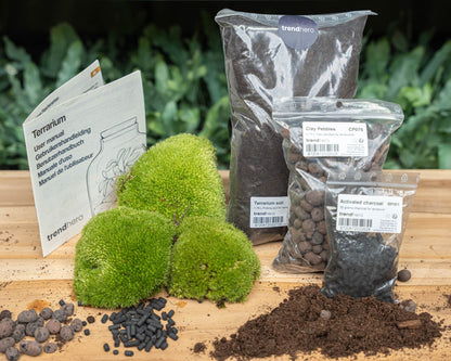 Comnox DIY Terrarium Kit Size L/XL - Complete Starter & Refill Set