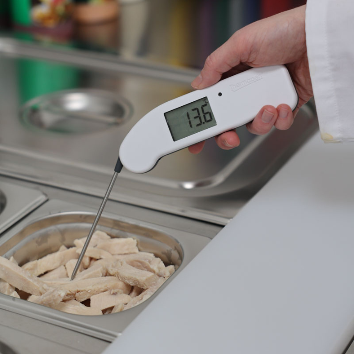 Een witte digitale Thermopen keukenthermometer met zichtbare temperatuur 25,9°C, metalen sensor en scherpe punt, geschikt voor precieze vlees- en baktemperatuurmeting in de keuken.