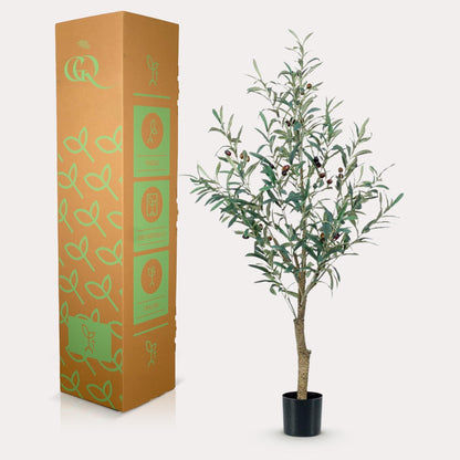 Kunst olijfboom (Olea europaea), 115 cm hoog