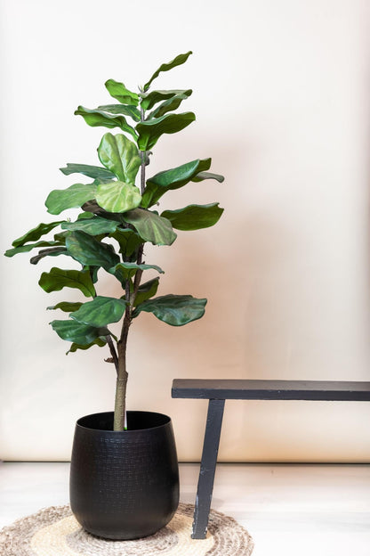 Kunstplant Ficus lyrata (vioolblad ficus / tabaksplant), 120 cm hoog