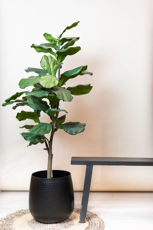 Een realistische kunstplant met groene, brede bladeren en een bruine stam, geplaatst in een zwarte pot op een lichte houten vloer. Ideaal voor binnenruimtes als woonkamer of kantoordecoratie.