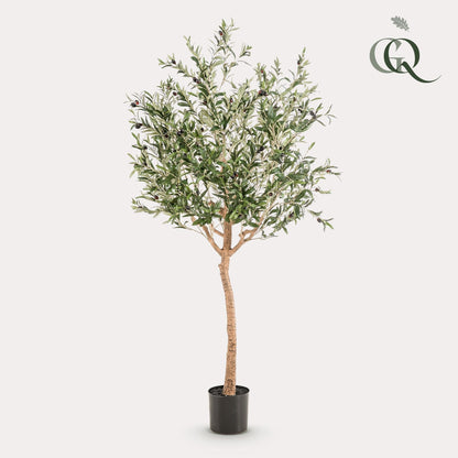 Kunst olijfboom (Olea europaea), 180 cm hoog