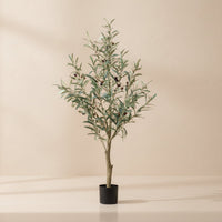 Kunst olijfboom (Olea europaea), 115 cm hoog