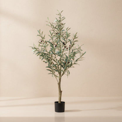 Kunst olijfboom (Olea europaea), 115 cm hoog