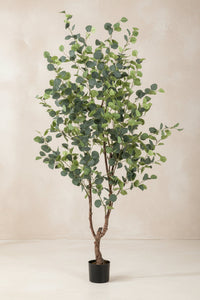 Kunstplant Eucalyptus (blauwe gomboom), 180 cm hoog