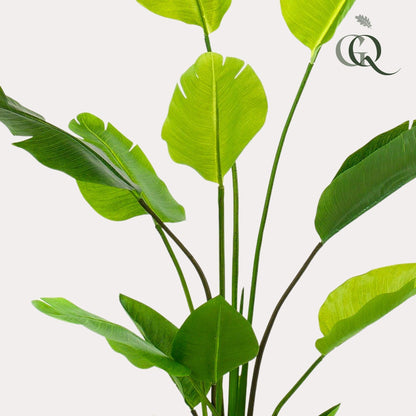Kunstplant Strelitzia nicolai (paradijsvogelbloem), 150 cm hoog