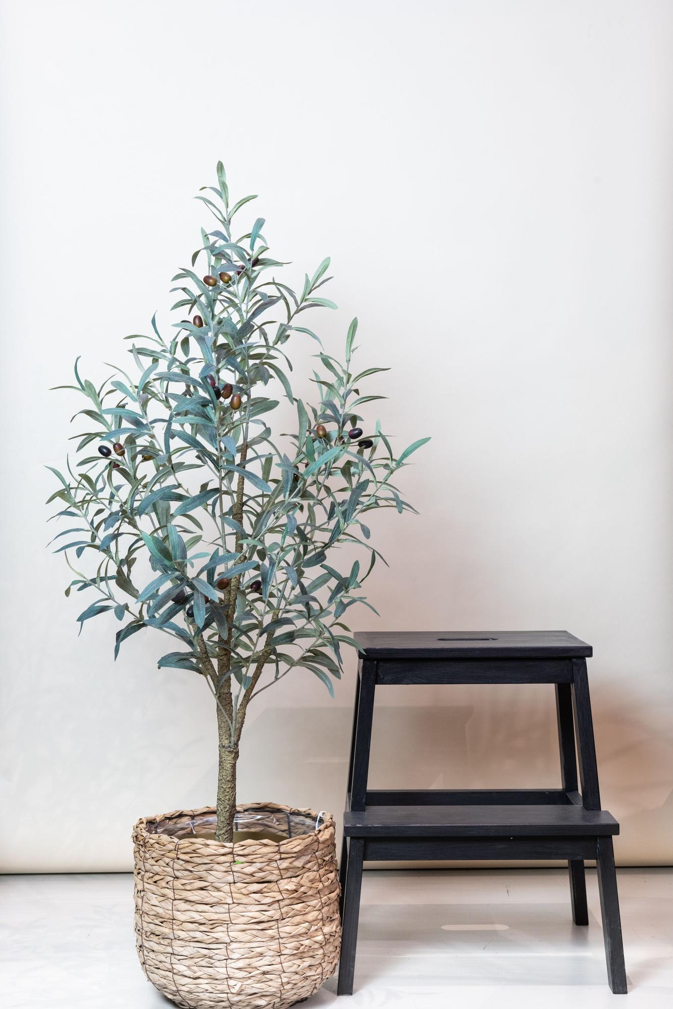 Kunst olijfboom (Olea europaea), 115 cm hoog
