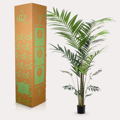 Kunstplant Kentiapalm (Howea forsteriana), 210 cm hoog