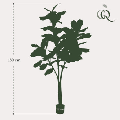 Kunstplant Ficus lyrata (vioolblad ficus), 180 cm hoog