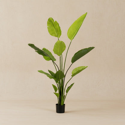 Kunstplant Strelitzia nicolai (paradijsvogelbloem), 150 cm hoog