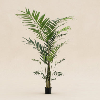 Kunstplant Kentiapalm (Howea forsteriana), 210 cm hoog