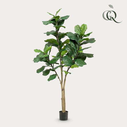 Kunstplant Ficus lyrata (vioolblad ficus), 180 cm hoog