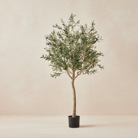 Kunst olijfboom (Olea europaea), 180 cm hoog