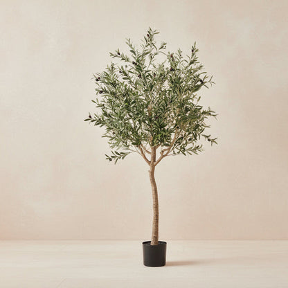 Kunst olijfboom (Olea europaea), 180 cm hoog
