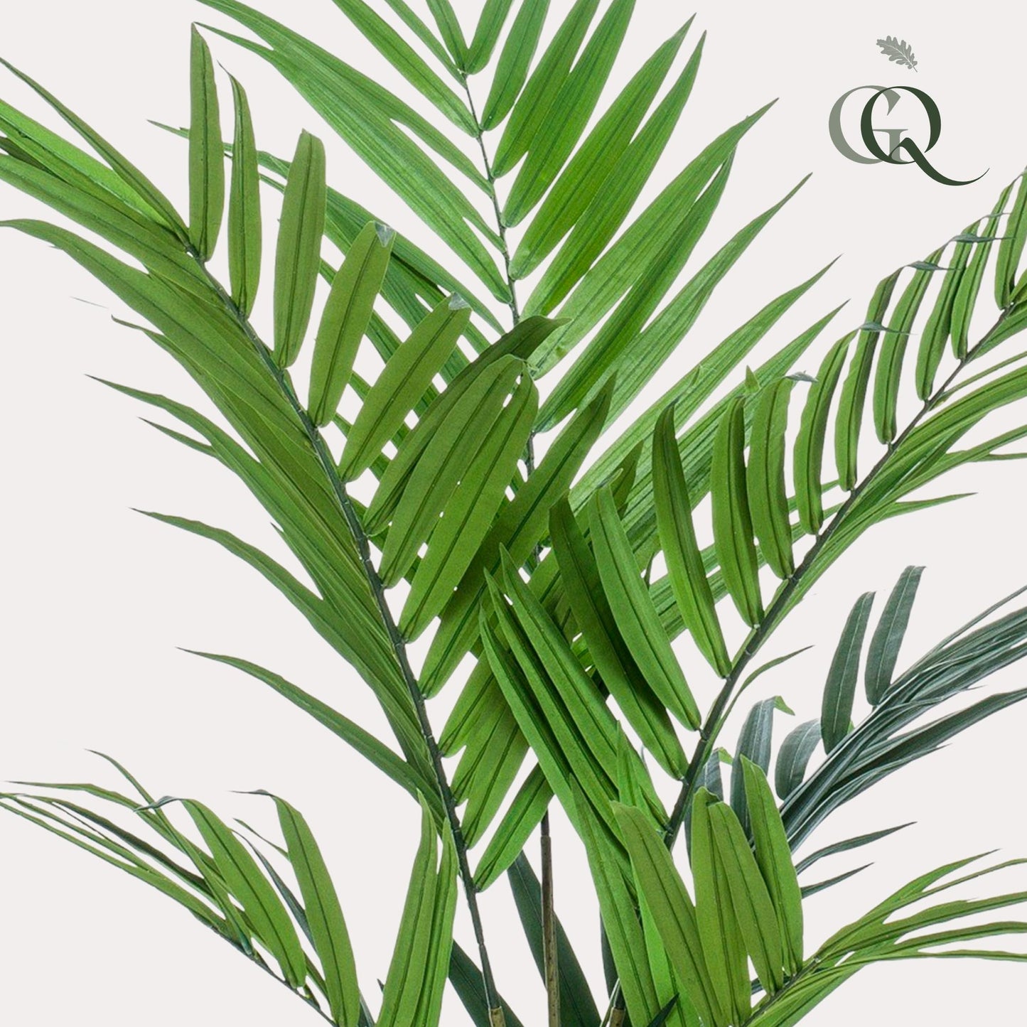 Kunstplant Kentiapalm (Howea forsteriana), 180 cm hoog